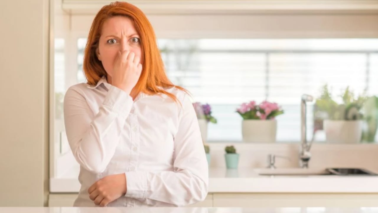 Foto - Faydasını öğrenen deniyor! Kalorifer peteklerinin üzerine bırakılan mandalina kabuğu ne işe yarar?