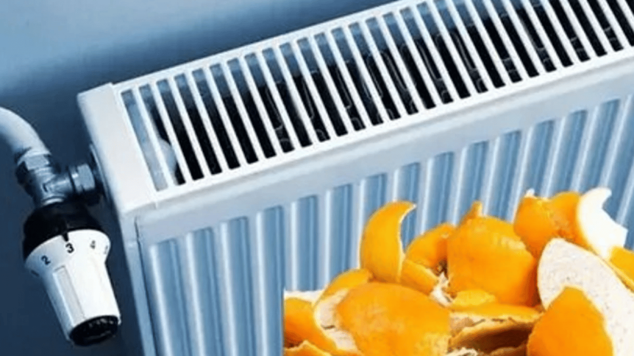 Faydasını öğrenen deniyor! Kalorifer peteklerinin üzerine bırakılan mandalina kabuğu ne işe yarar?