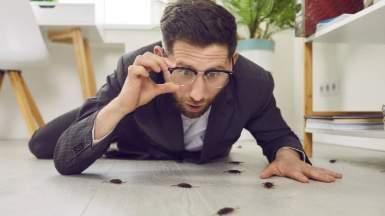 Foto - Faydasını öğrenen deniyor! Kalorifer peteklerinin üzerine bırakılan mandalina kabuğu ne işe yarar?