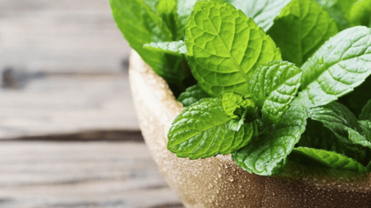 Foto - Ferah bir nefes... İştah kapatan bitki: Sabahları 1-2 tane çiğneyin