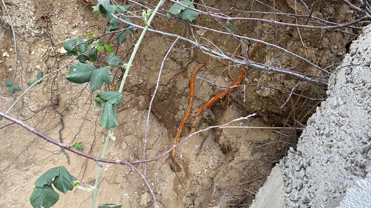 Foto - Fidan dikerken karşılaştı! Site bahçesinde insan kafatası bulundu