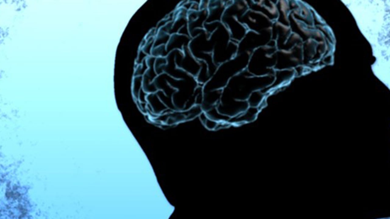 Foto - Filim gerçek oluyor: Duygular konusunda paramparça! Bu kez hastalar laboratuvar masasına yatırıyor!