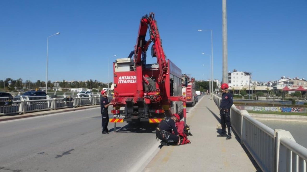 Film gibi martı kurtarma operasyonu