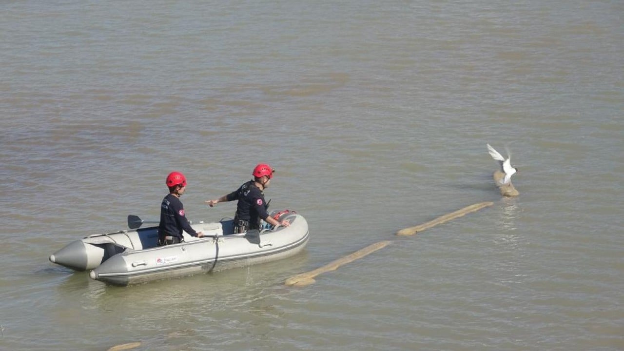 Foto - Film gibi martı kurtarma operasyonu