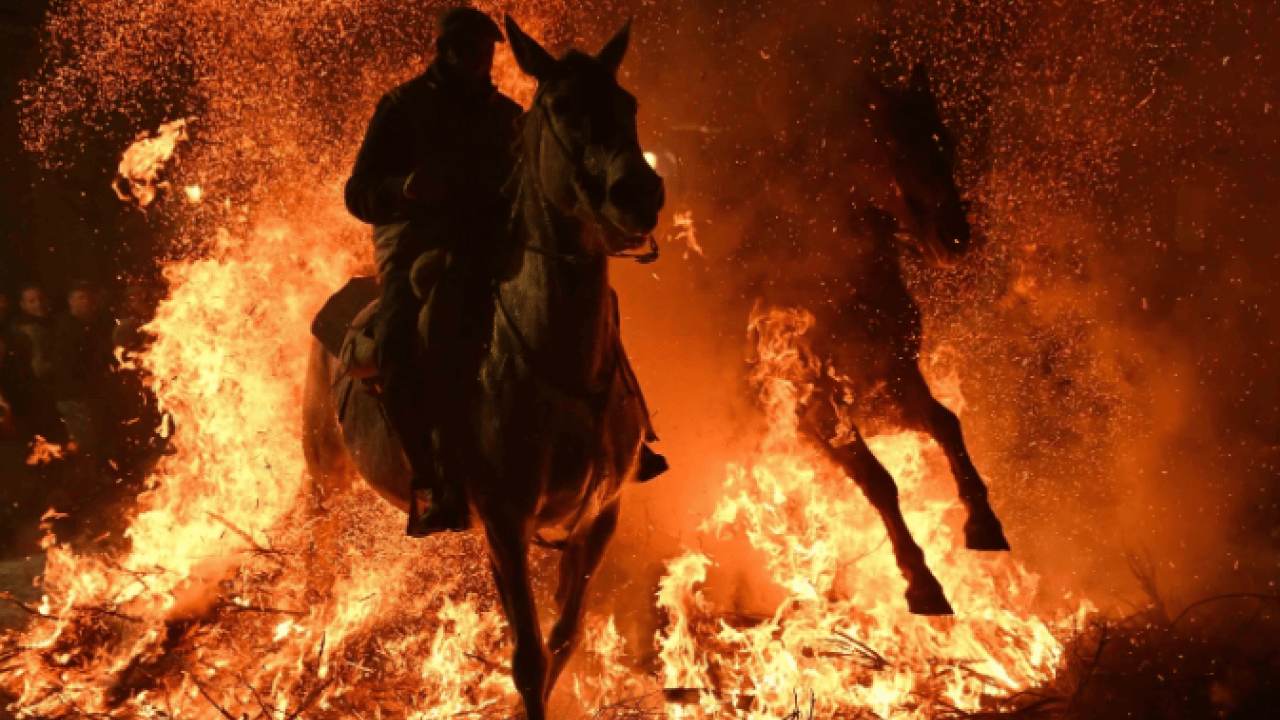 Film karesi değil gerçek! Tepki çeken gelenek tepki topladı