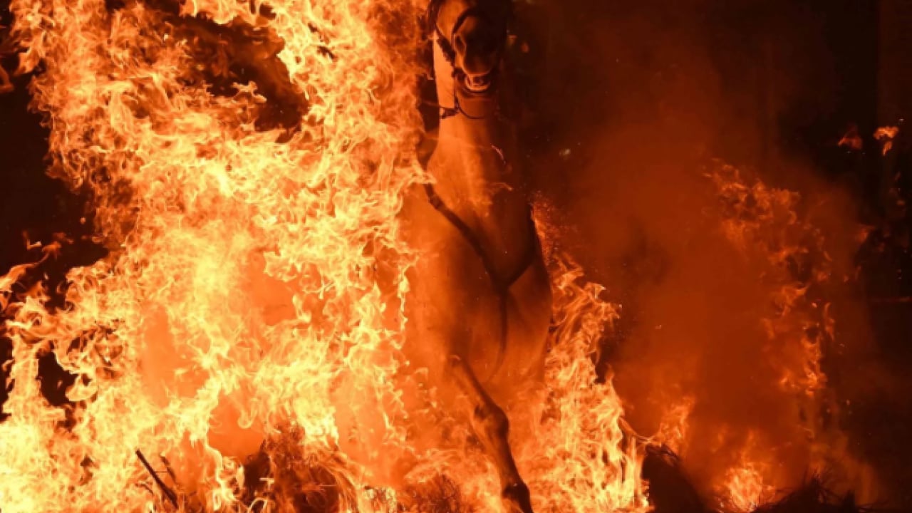 Foto - Film karesi değil gerçek! Tepki çeken gelenek tepki topladı