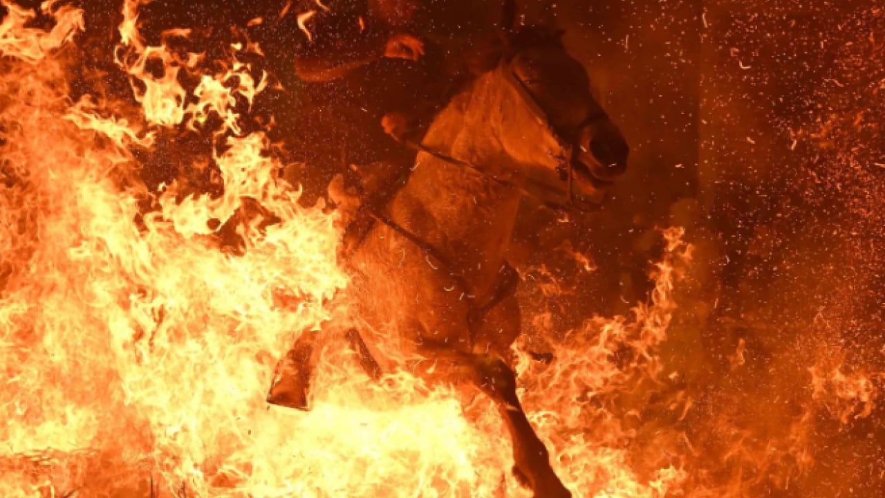 Foto - Film karesi değil gerçek! Tepki çeken gelenek tepki topladı