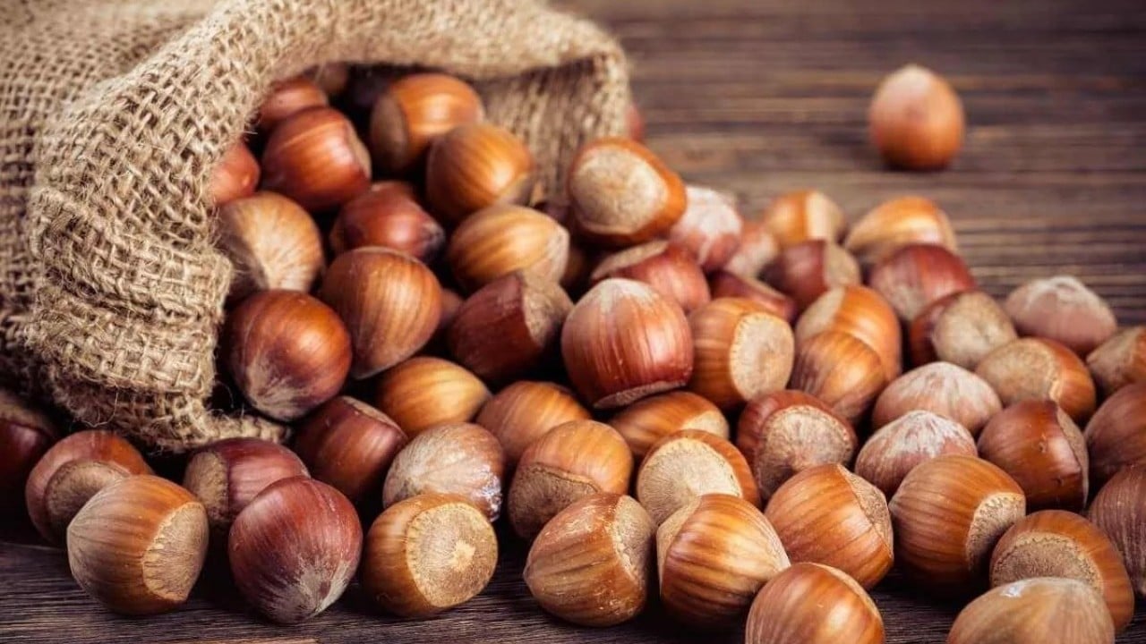 Foto - Fındık fiyatları düşüyor!