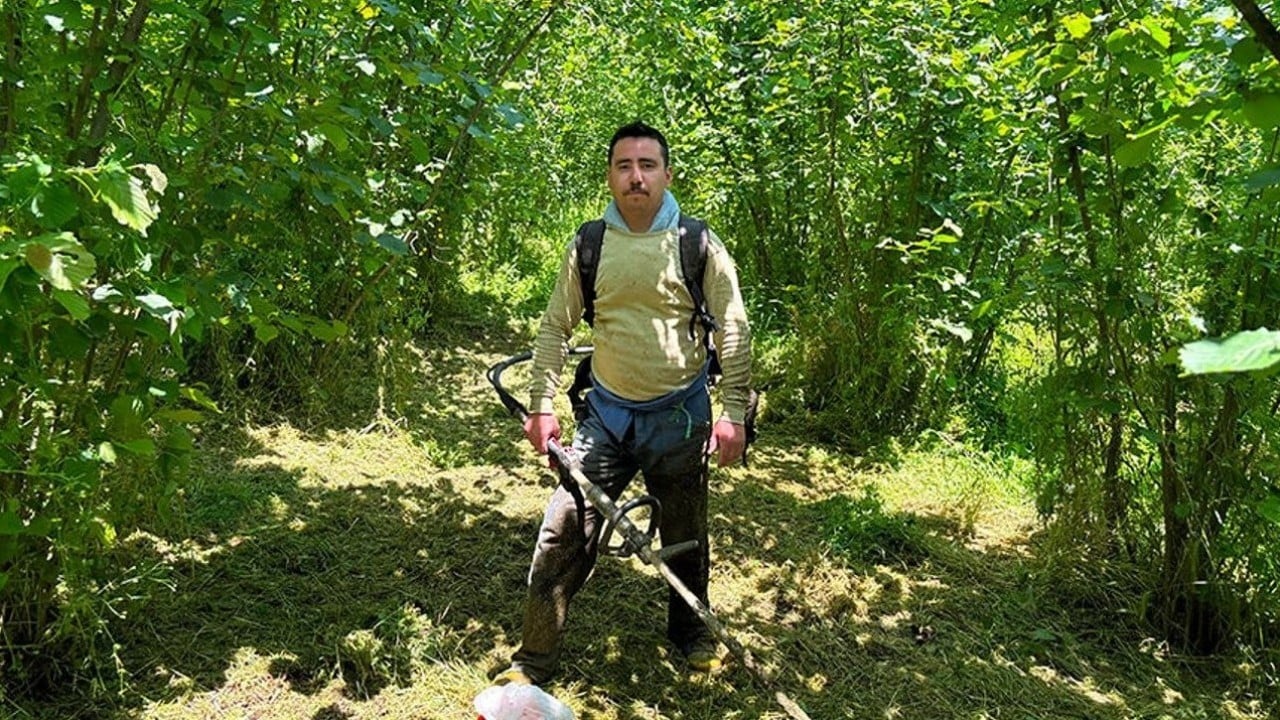 Foto - Fındık hasat sezonu yaklaştı! Yabani ot temizliğine başlanıldı