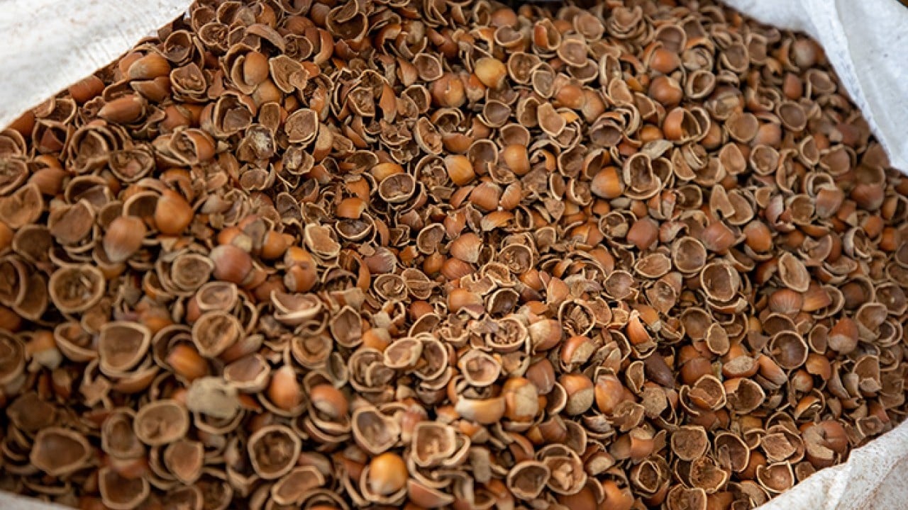 Foto - Fındık kabuğundan aktif karbon