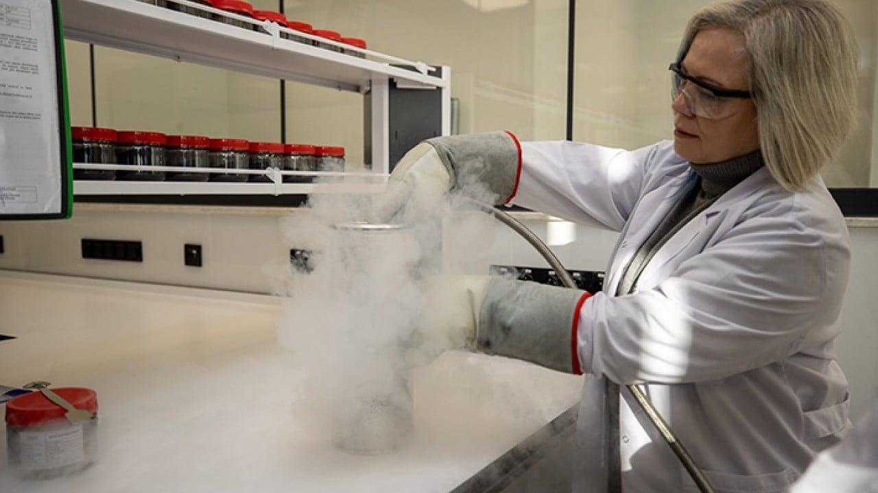 Foto - Fındık kabuğundan aktif karbon