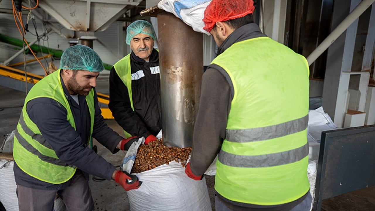 Foto - Fındık kabuğundan aktif karbon