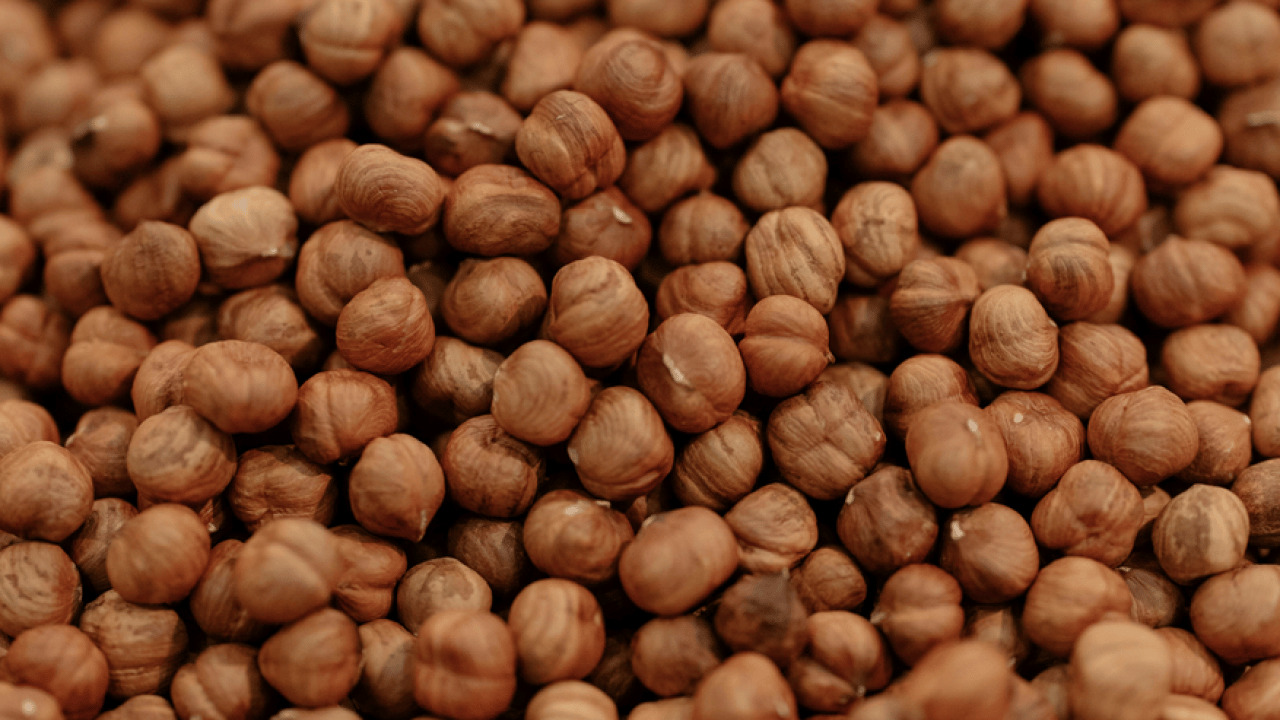 Fındık neye iyi gelir, nasıl şifa kaynağına dönüşür! İşte tek tek not almanız gereken uyarılar