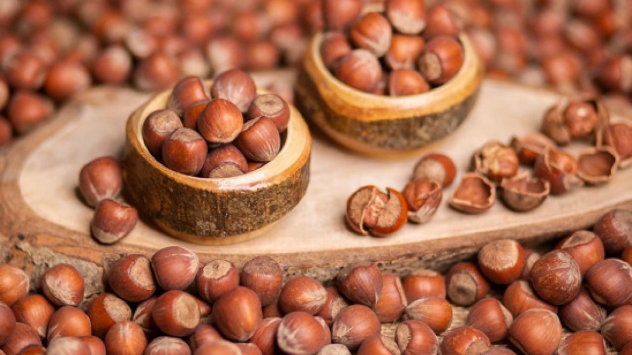 Foto - Fındıkta rekolte düştü! Zam kapıda