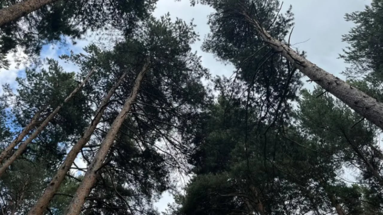 Foto - Finlandiya'dan ithal ediliyordu: Artık Türkiye'de üretilecek!