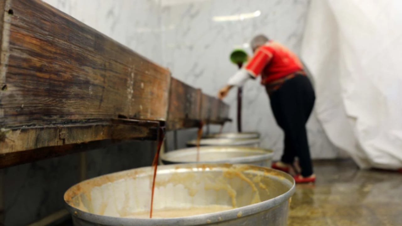 Foto - Fırat Nehri kenarındaki ağaçlardan toplanıyor! İftar ve sahur sofralarının vazgeçilmezi!