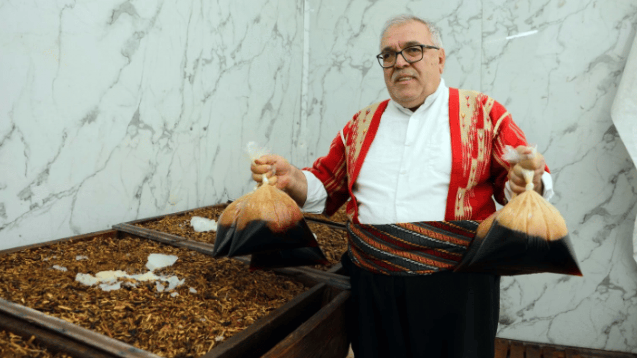 Fırat Nehri kenarındaki ağaçlardan toplanıyor! İftar ve sahur sofralarının vazgeçilmezi!