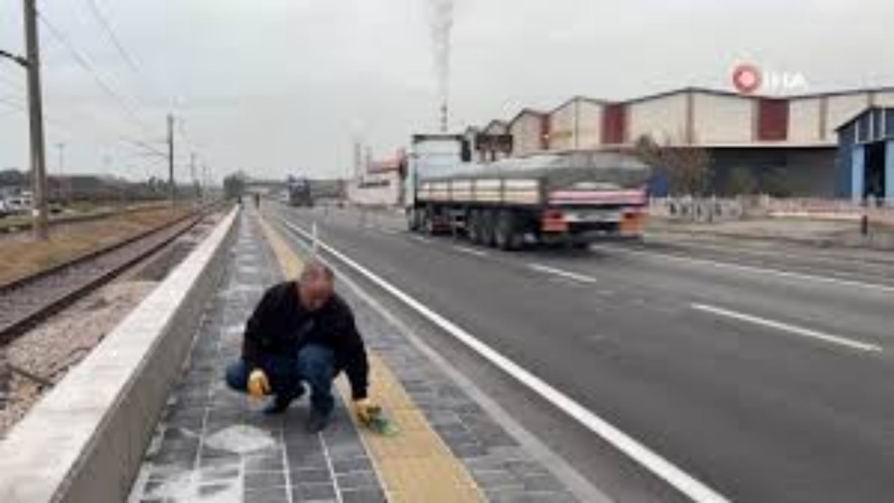 Foto - Fırçayla topluyorlar! Yurt dışından gelen TIR’lardan patır patır dökülüyor, bahçesine ekip adeta servet kazanıyor