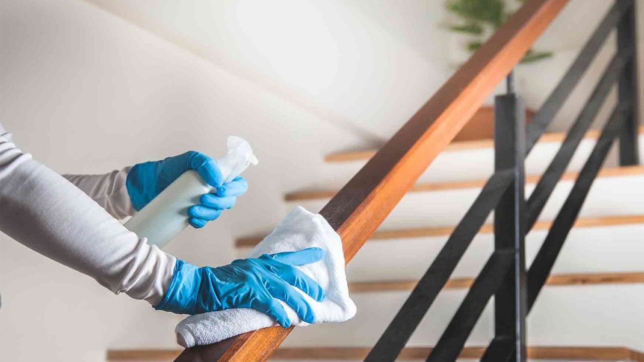 Foto - Fırından lavaboya, çöpten tencereye! Her şeyi parlatan küçük sır ortaya çıktı