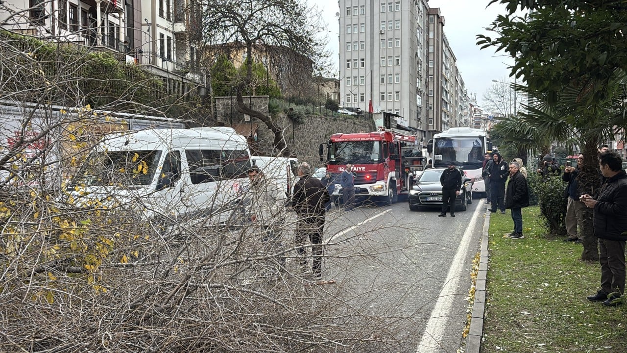 Foto - Fırtına koca ağacı devirdi