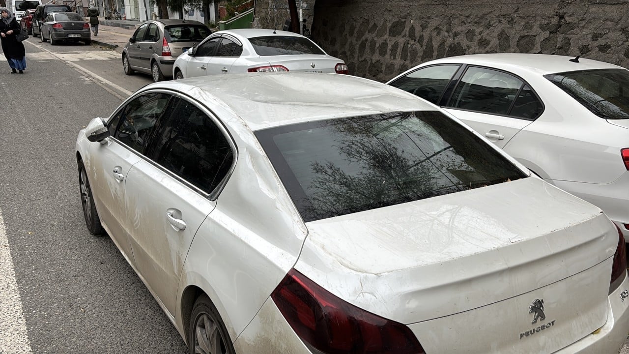 Foto - Fırtına koca ağacı devirdi