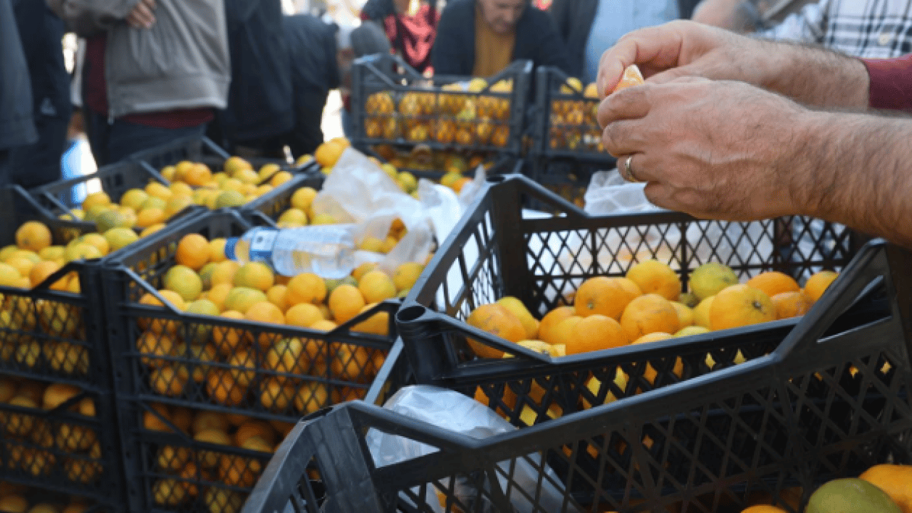 Foto - Fiyatı 2 liraya kadar indi! Tonlarcasını bedavaya dağıttılar