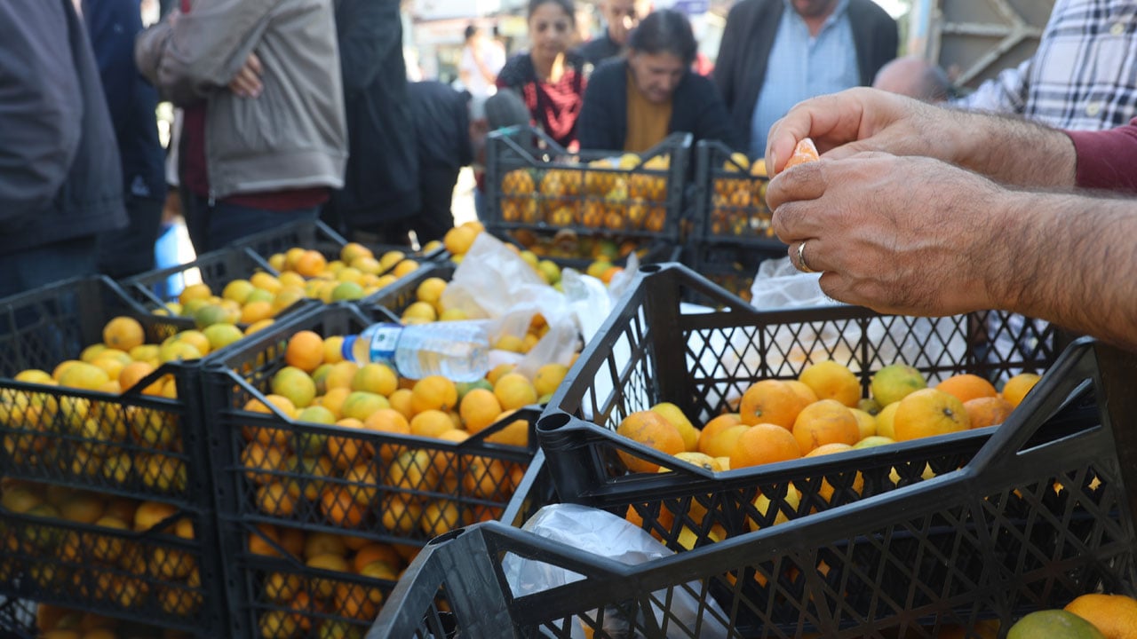 Foto - Fiyatı 2 TL'ye düştü! Tonlarca mandalina bedava dağıtıldı