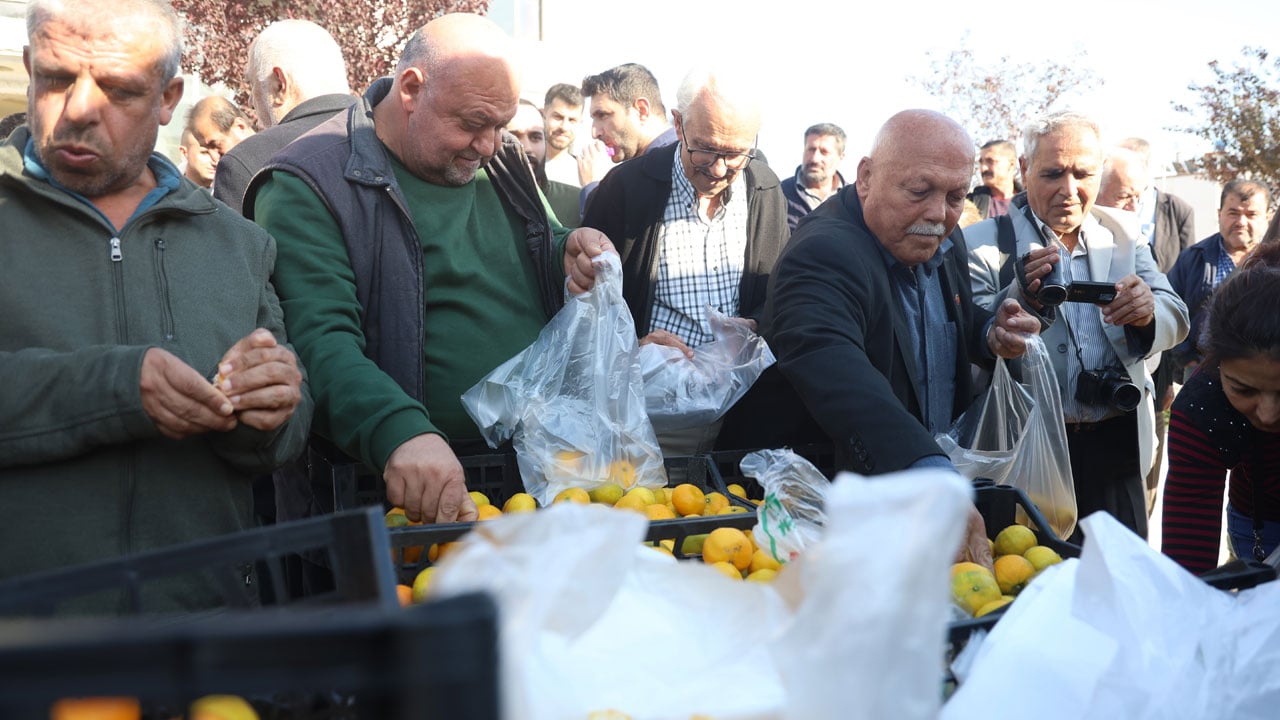 Fiyatı 2 TL'ye düştü! Tonlarca mandalina bedava dağıtıldı