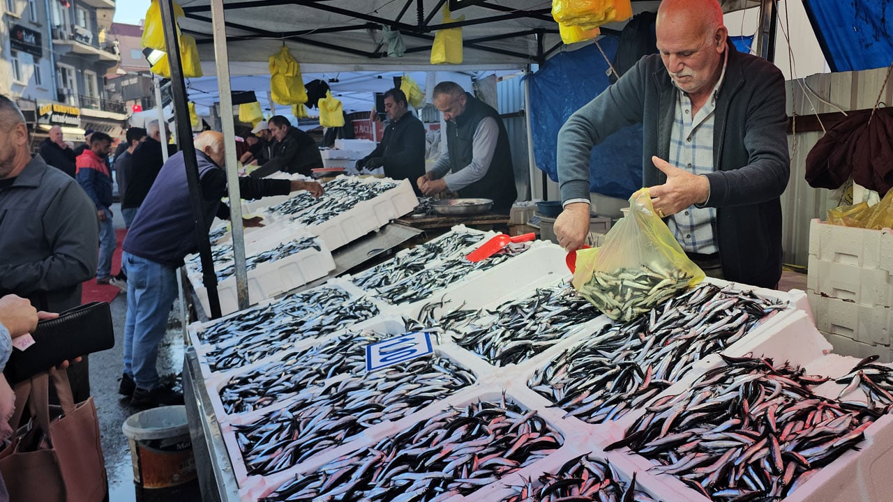 Fiyatı dibe vurdu! Hamsi kuyruğu uzadıkça uzadı