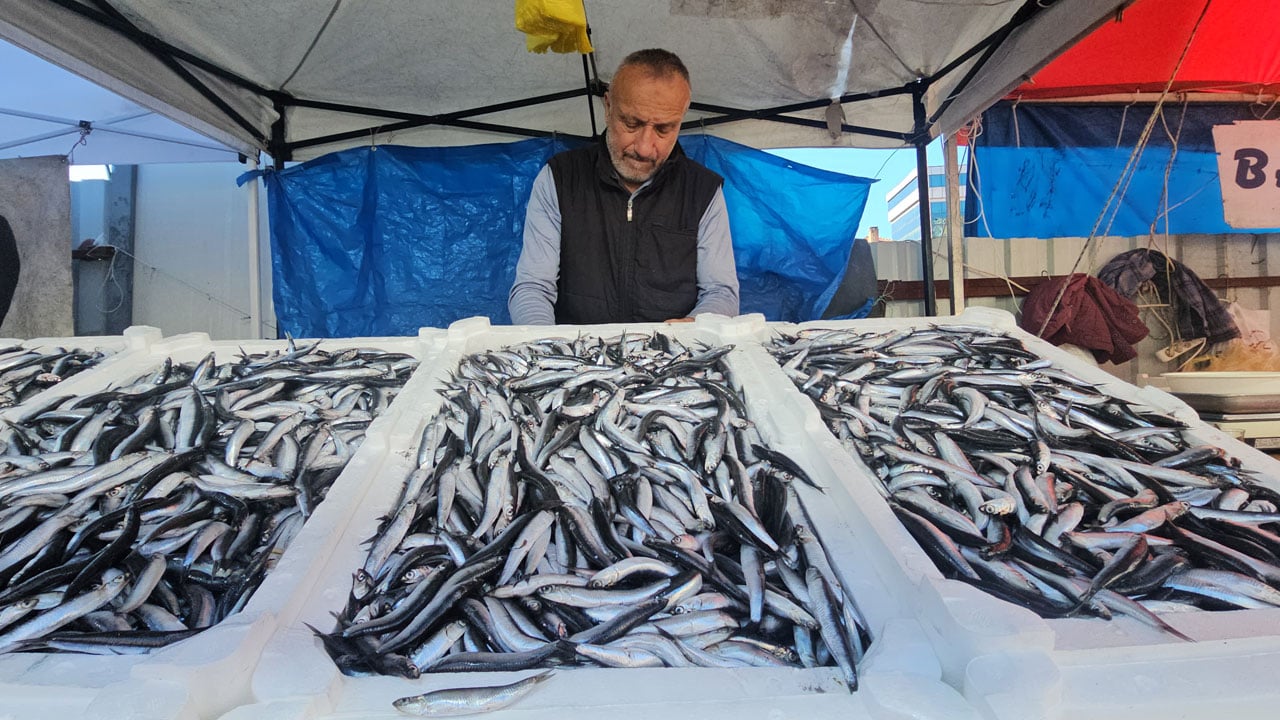 Foto - Fiyatı dibe vurdu! Hamsi kuyruğu uzadıkça uzadı