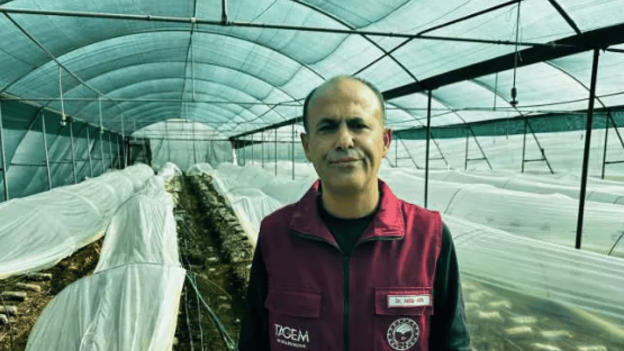 Foto - Fiyatını duyan şaşıp kalıyor! Çiftçilerin üretmesine izin verildi!