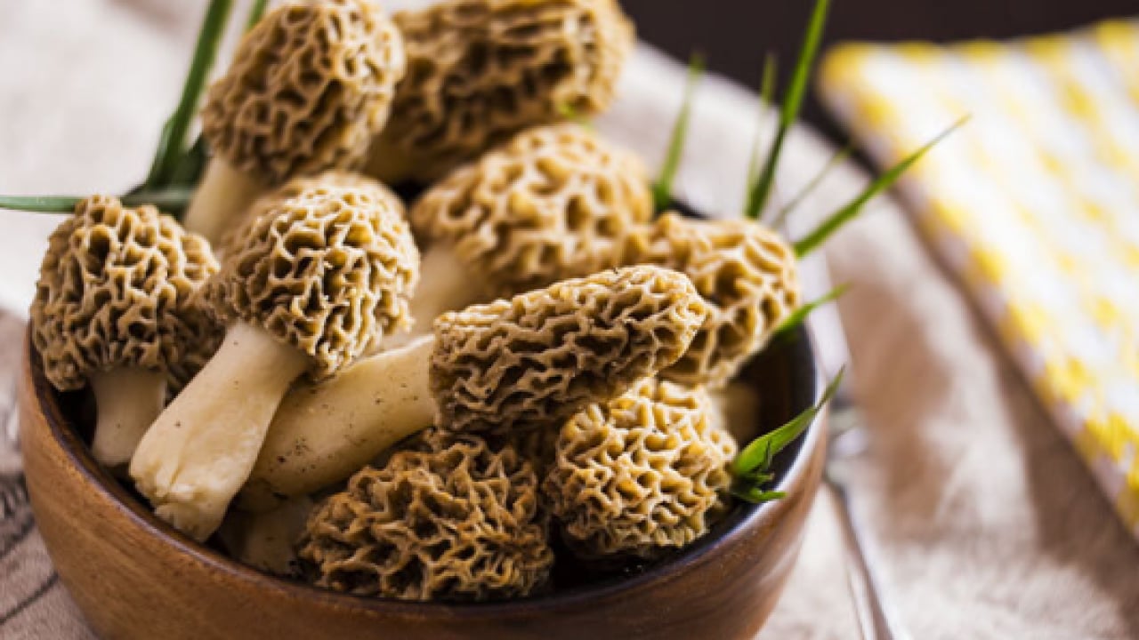 Foto - Fiyatını duyan şaşıp kalıyor! Çiftçilerin üretmesine izin verildi!