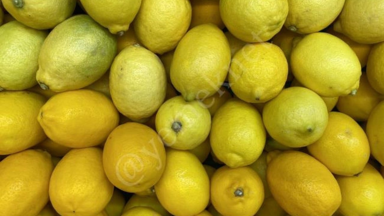Fiyatı 100 lirayı aşmıştı! Bakanlıktan kritik limon kararı