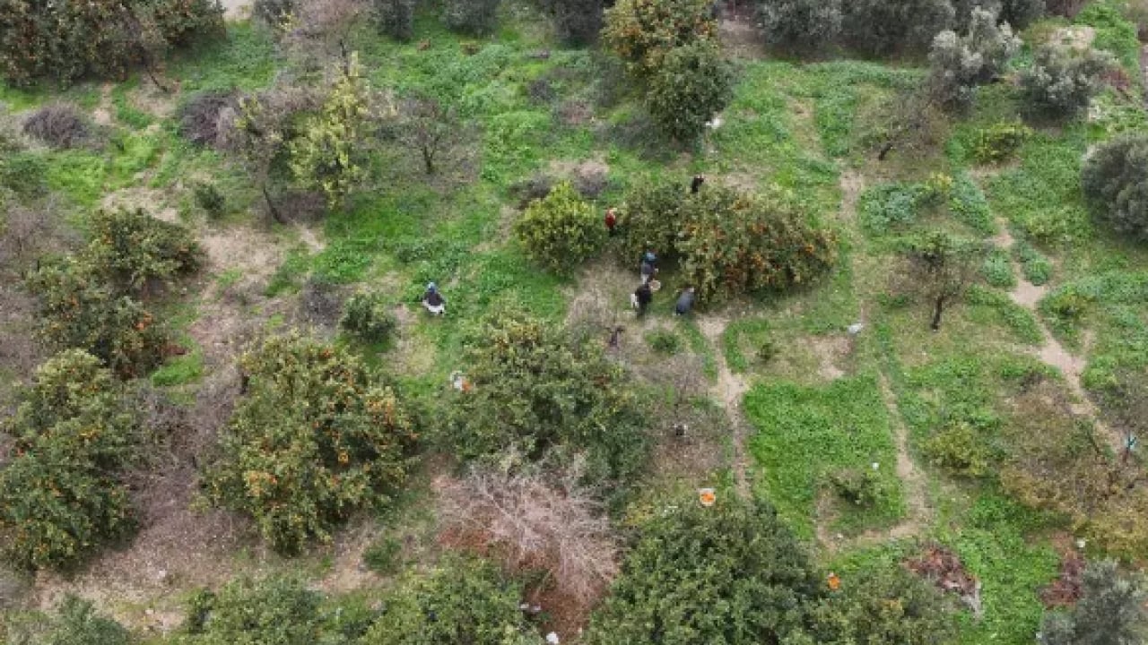 Foto - Fiyatlara tepki gösterdiler: Tarlada 2 TL markette 35 TL!