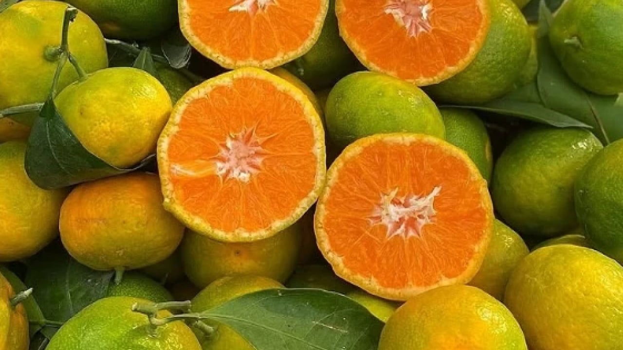 Foto - Fiyatlara tepki gösterdiler: Tarlada 2 TL markette 35 TL!