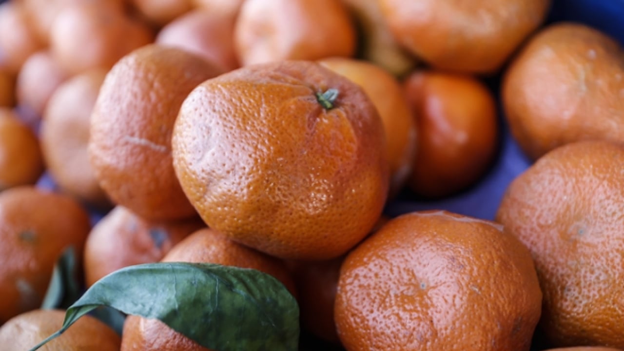 Foto - Fiyatlara tepki gösterdiler: Tarlada 2 TL markette 35 TL!