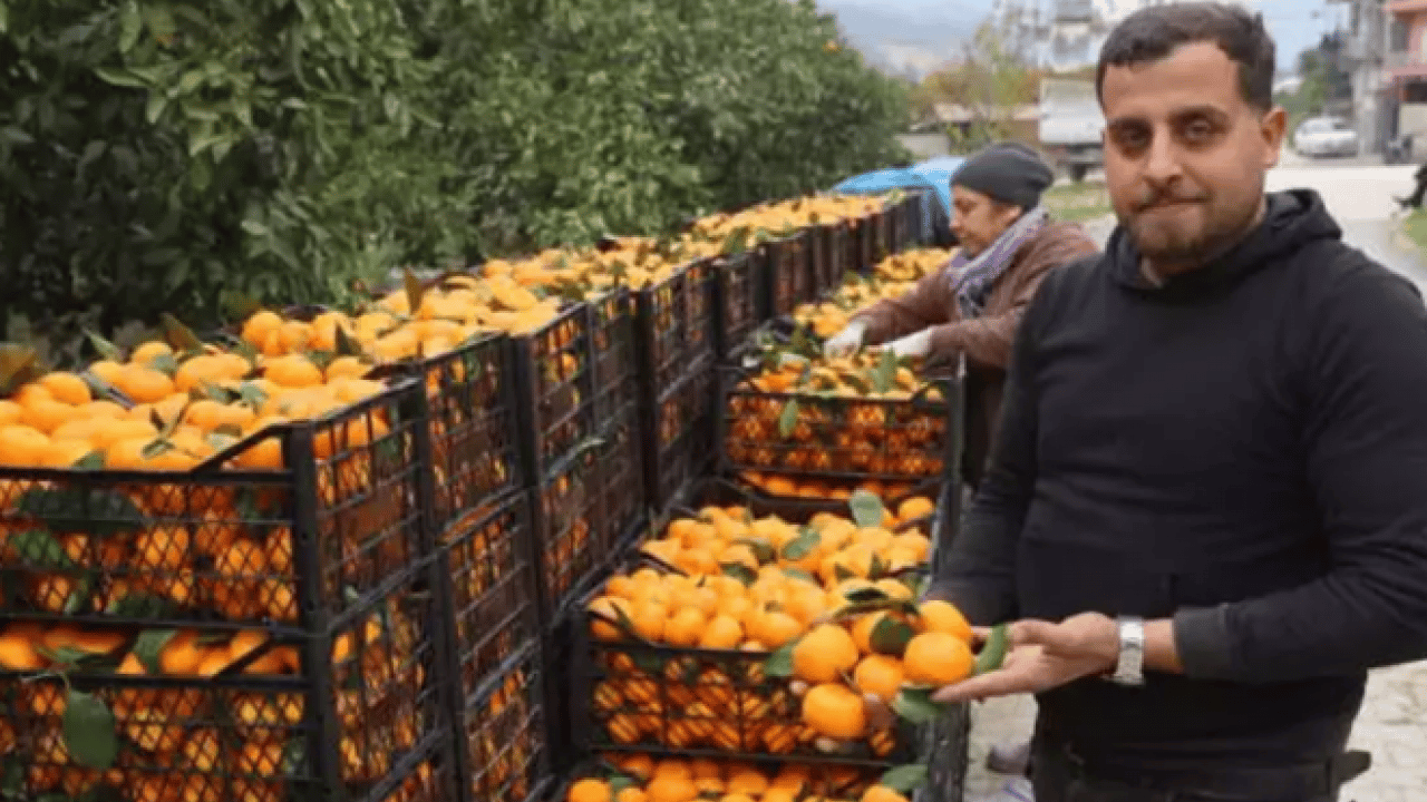 Fiyatlara tepki gösterdiler: Tarlada 2 TL markette 35 TL!