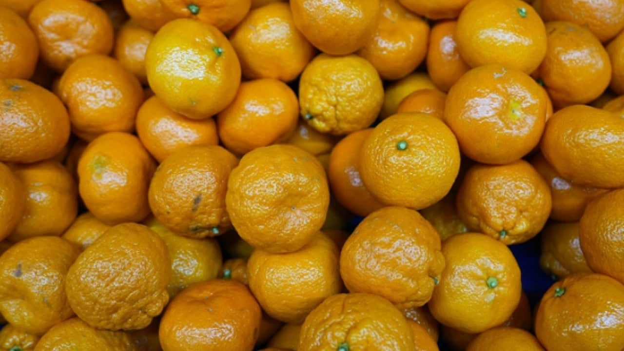 Foto - Fiyatlara tepki gösterdiler: Tarlada 2 TL markette 35 TL!