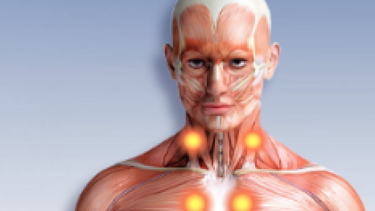 Foto - Fizik Tedavi ve Rehabilitasyon Uzmanı duyurdu: Fibromiyalji ağrıları kabusunuz olmasın