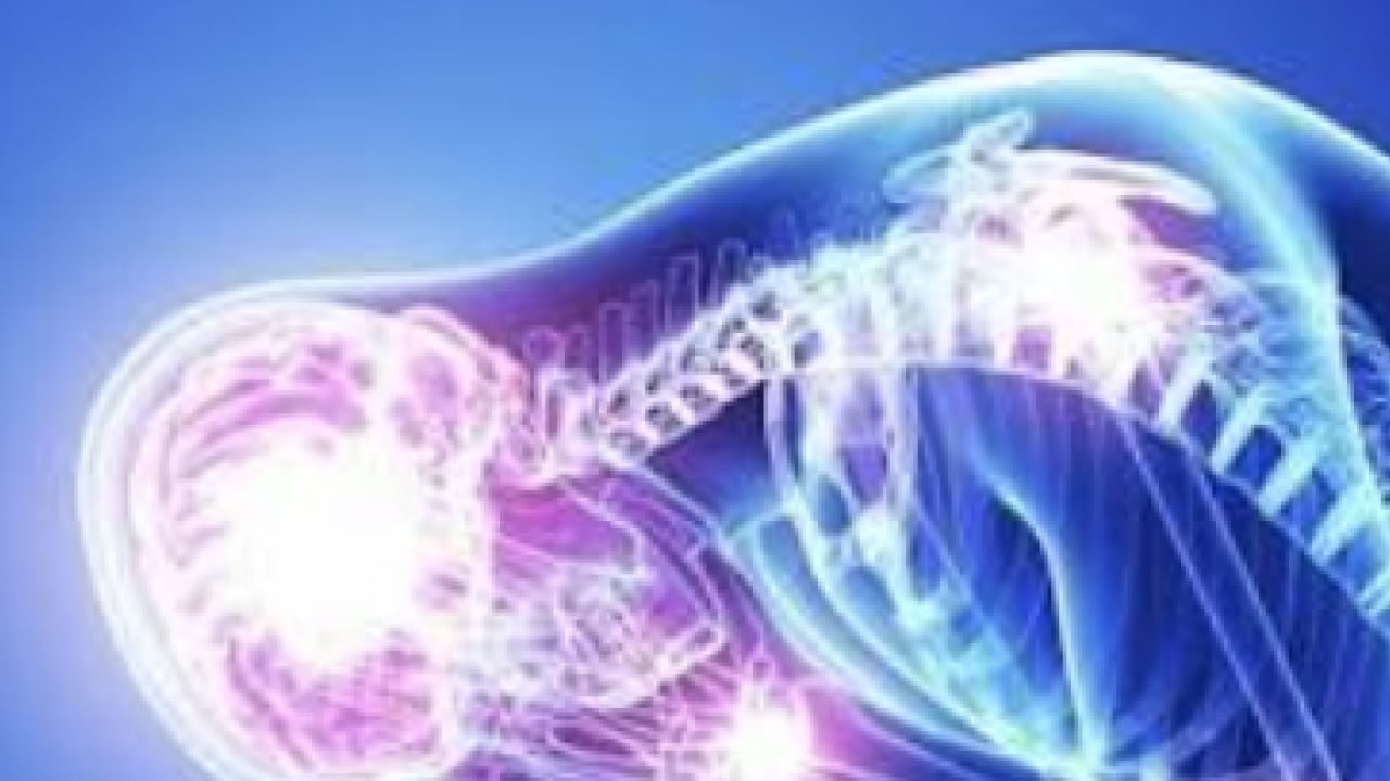 Foto - Fizik Tedavi ve Rehabilitasyon Uzmanı duyurdu: Fibromiyalji ağrıları kabusunuz olmasın