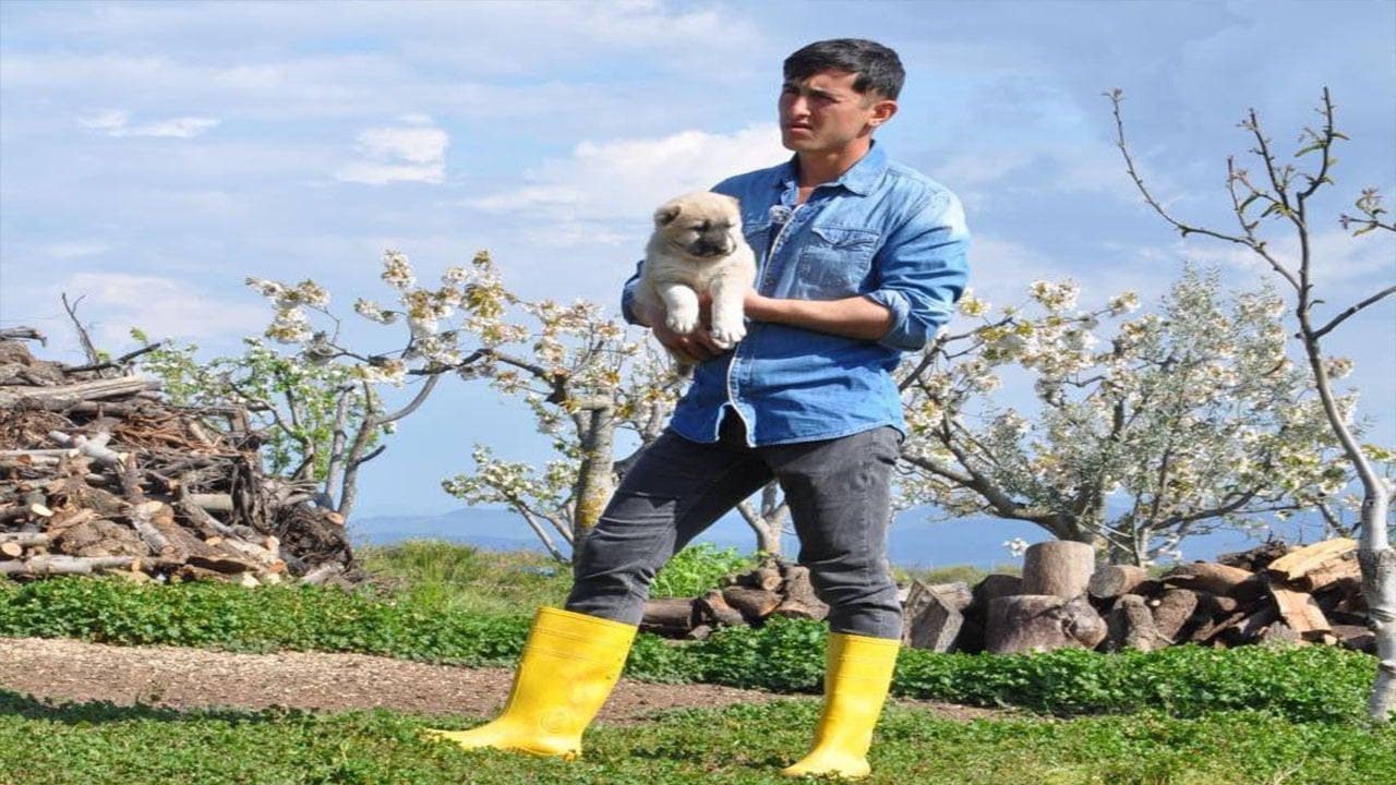 Foto - Fizyoterapist gençten Sivas kangalı üretimi