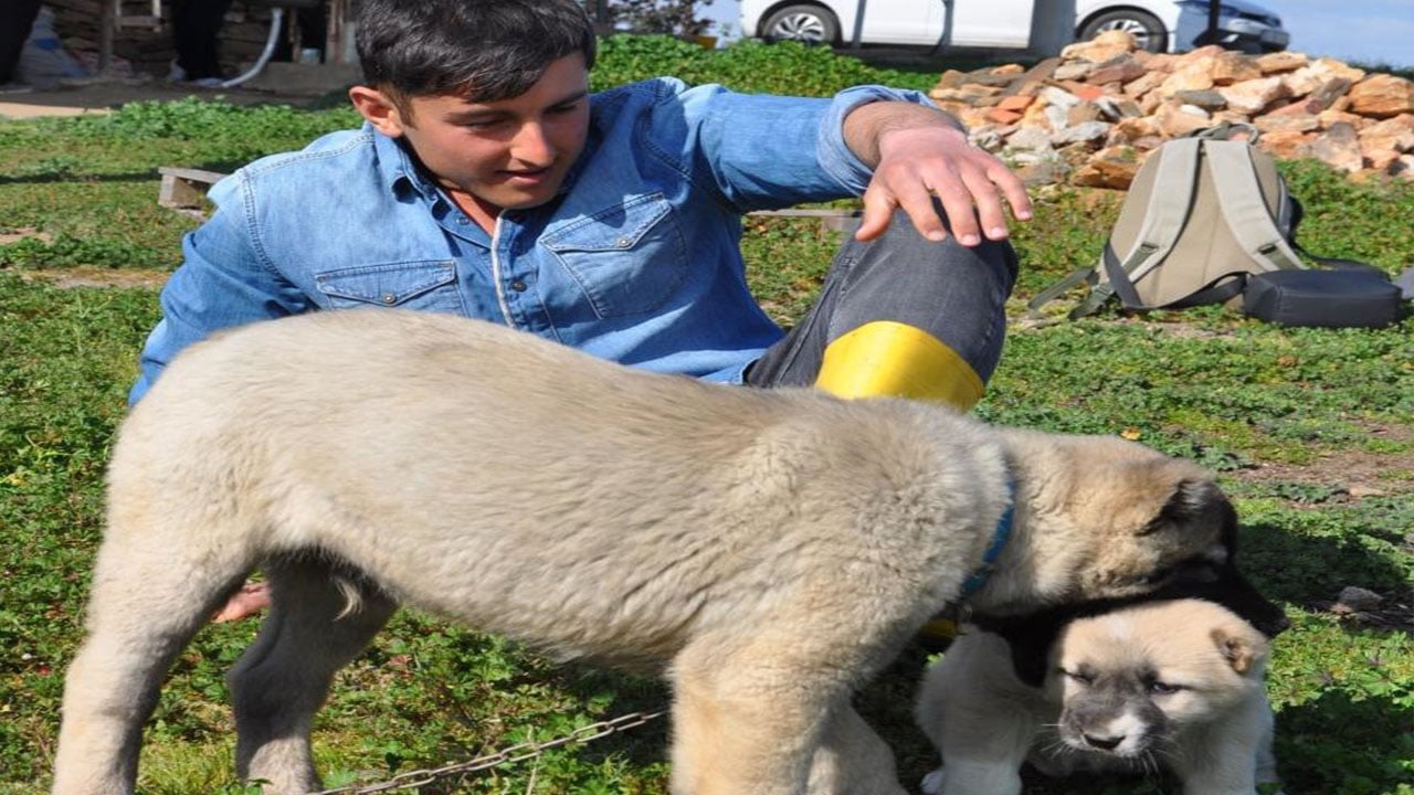Foto - Fizyoterapist gençten Sivas kangalı üretimi