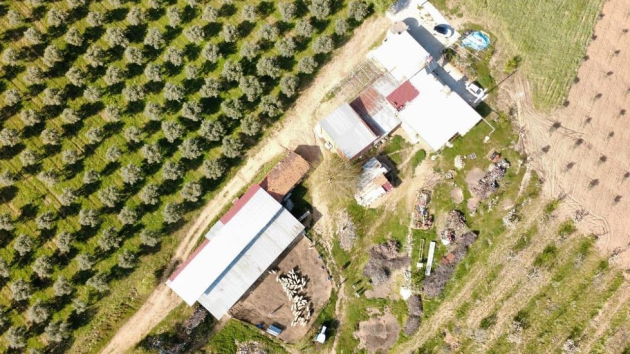 Foto - Fizyoterapist gençten Sivas kangalı üretimi