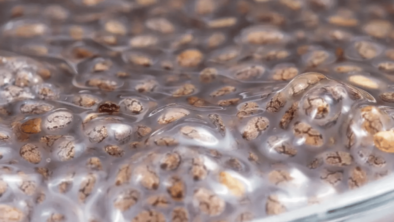 Foto - Flaş hamlenizi yapın... Yoğurda 1 kaşık ekleyince etkisi 2 kat artıyor! Ne göbek kalıyor ne şeker