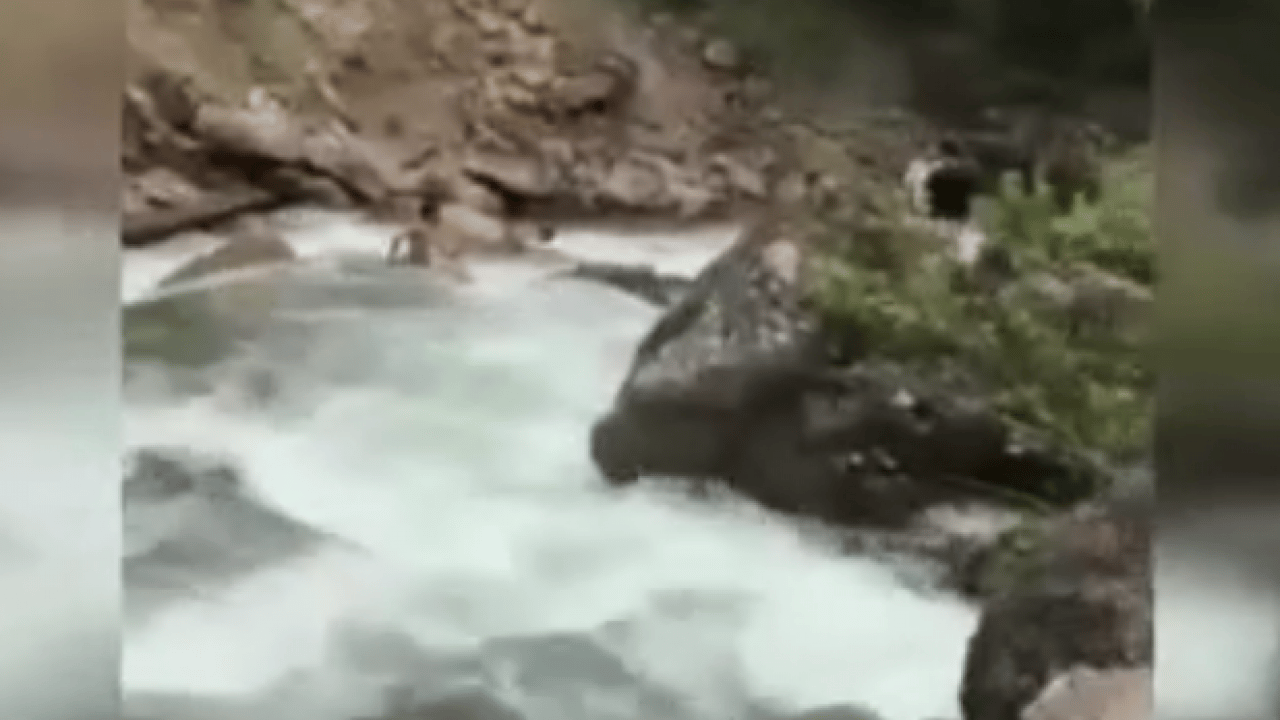 Foto - Fotoğraf sevdası acı bitti! Uzungöl'de derede can pazarı!