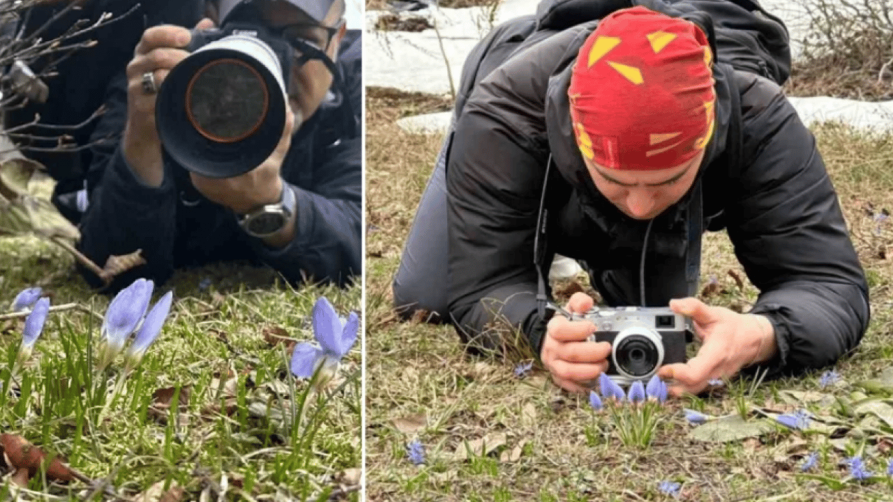 Fotoğrafçılar nadide çiçeğin peşine düştü: Dünyada sadece burada yetişiyor