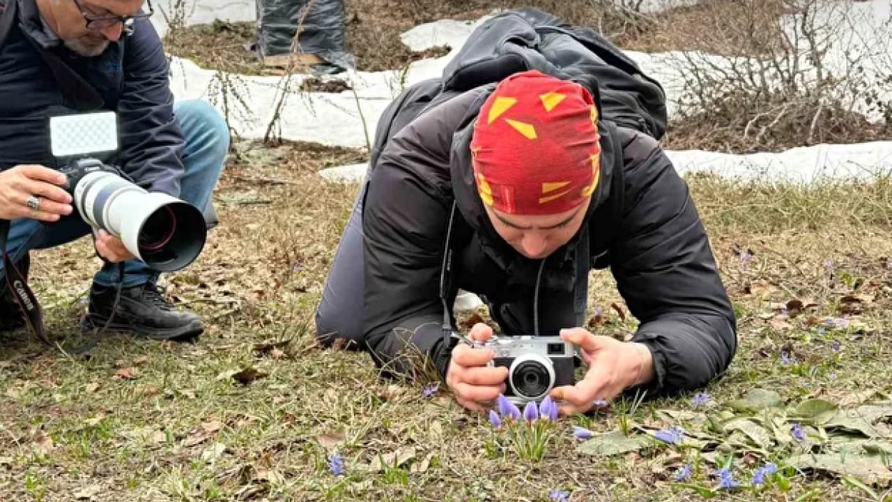 Foto - Fotoğrafçılar nadide çiçeğin peşine düştü: Dünyada sadece burada yetişiyor