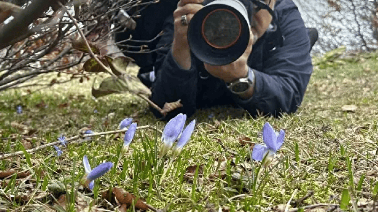 Foto - Fotoğrafçılar nadide çiçeğin peşine düştü: Dünyada sadece burada yetişiyor