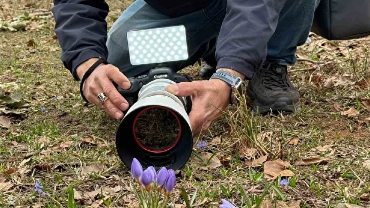 Foto - Fotoğrafçılar nadide çiçeğin peşine düştü: Dünyada sadece burada yetişiyor