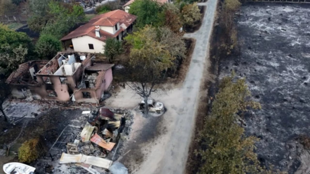 Foto - Siz Türk devletine kurban olun: Fransa afetzedeleri ortada bıraktı!